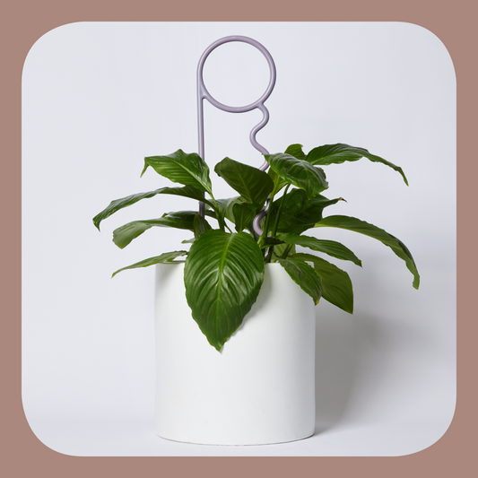 Grape Plant Pin